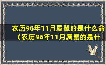 农历96年11月属鼠的是什么命（农历96年11月属鼠的是什 💮 么命运）